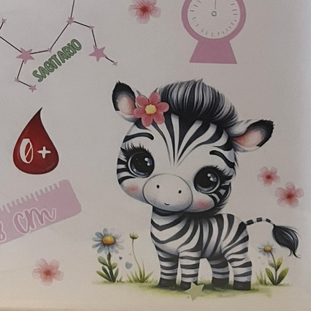 Natalicio completo safari 