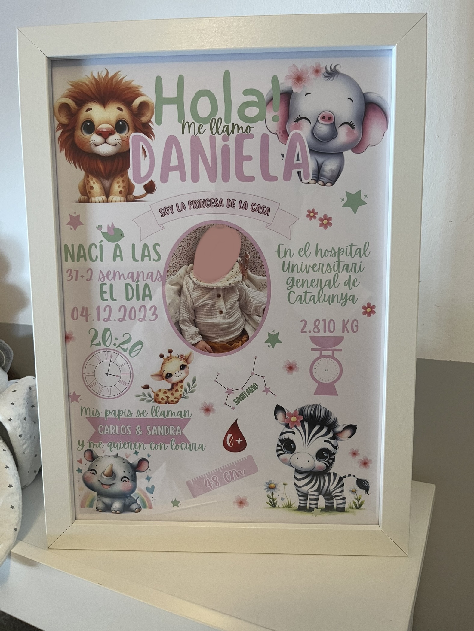 Natalicio completo safari