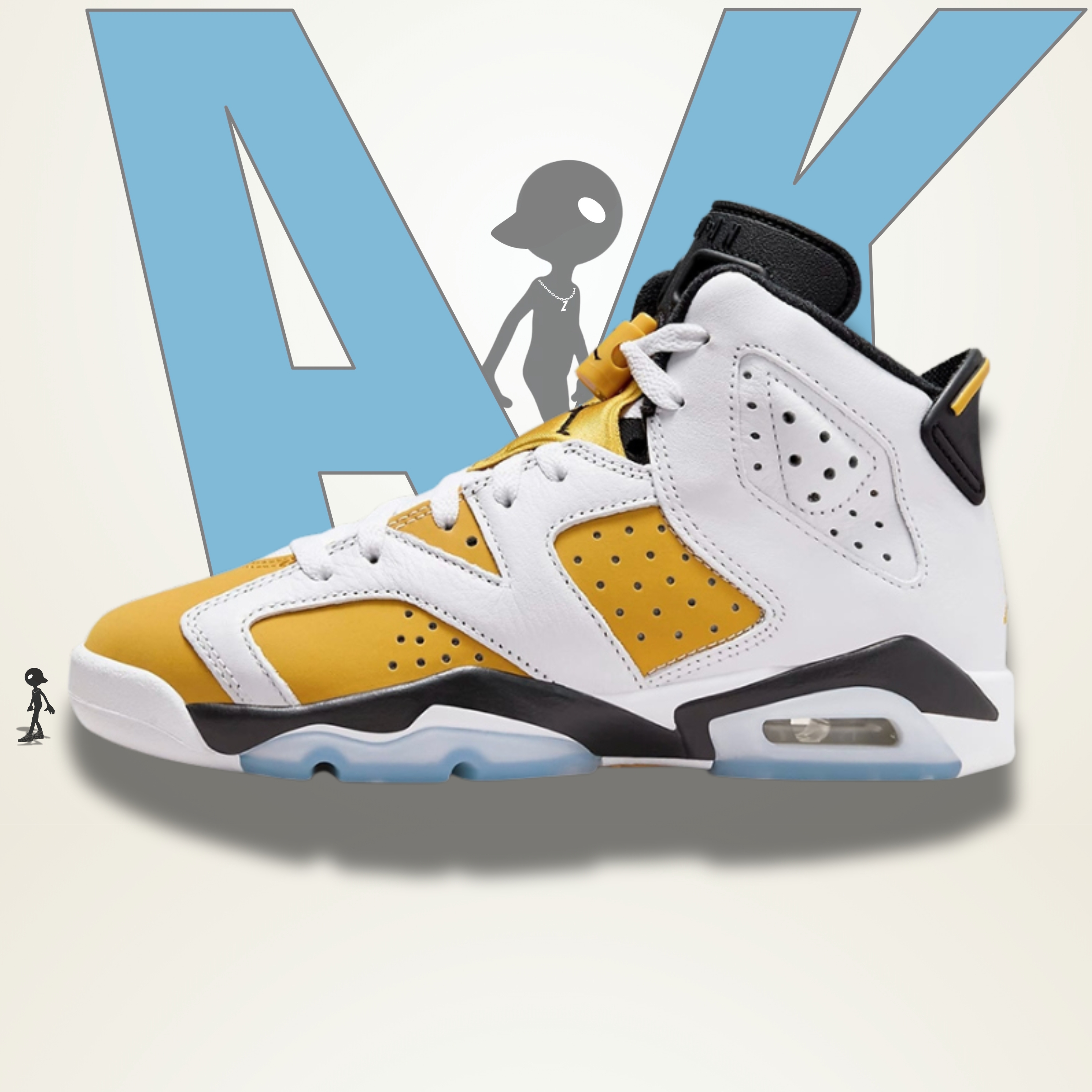 Air Jordan 6 Retro