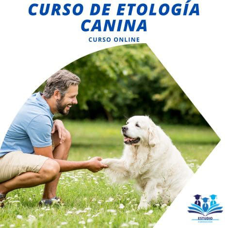 Curso de Etología y Entrenamiento de Caninos