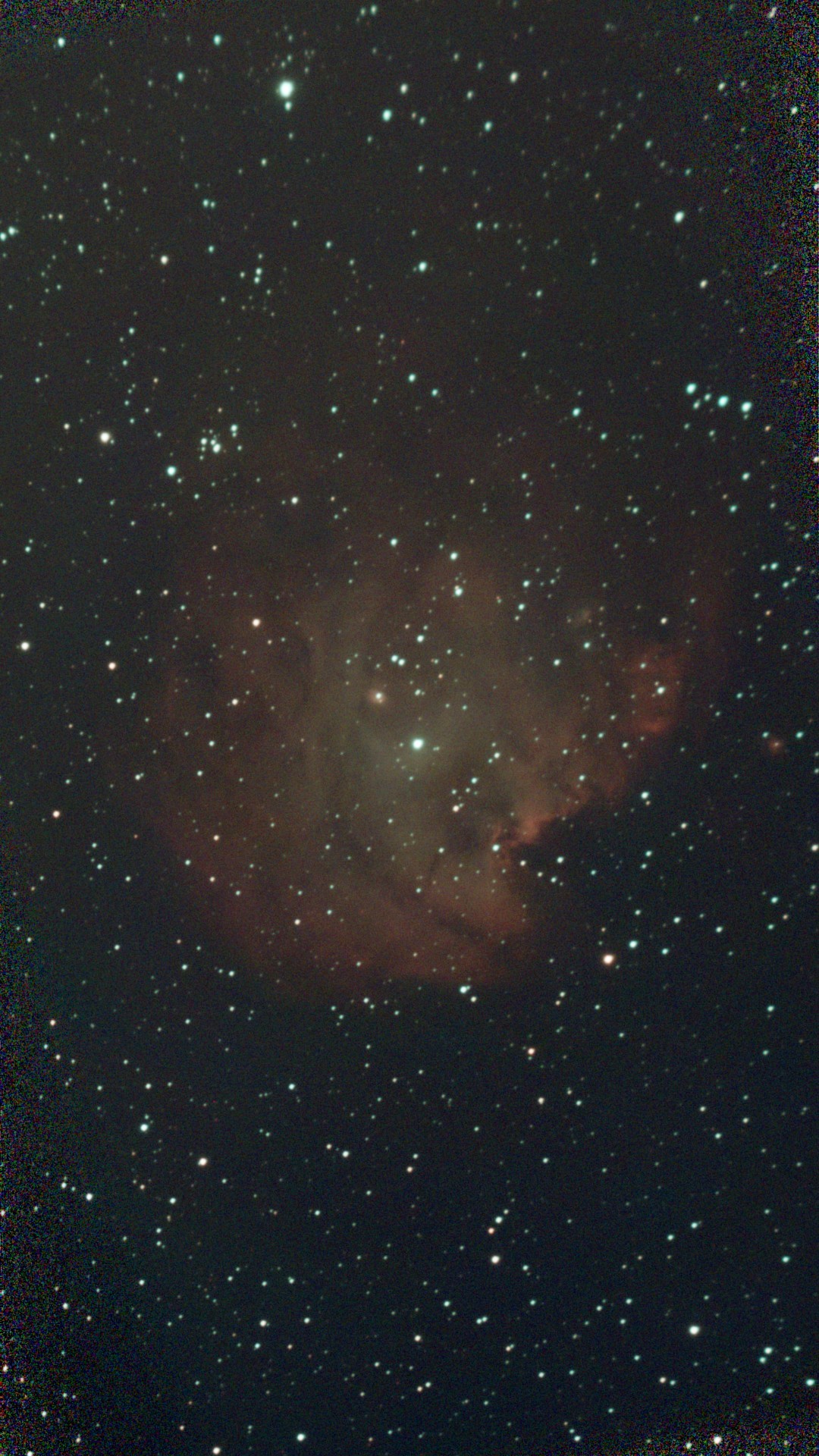 Frame of Monkey Head Nebula