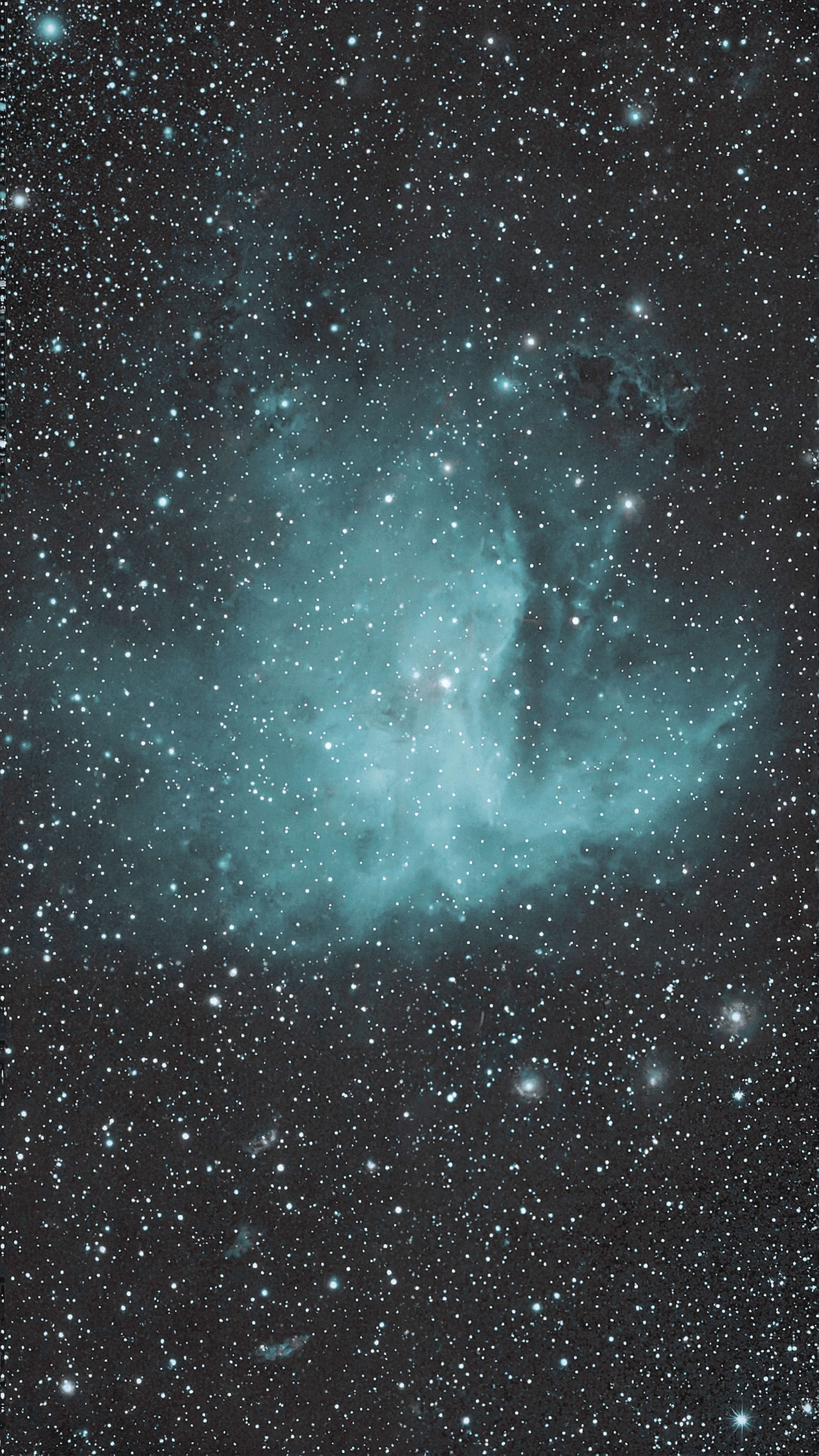 Monkey Head Nebula Frame