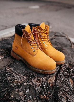 Timberland 6-Inch Premium Waterproof Boots
