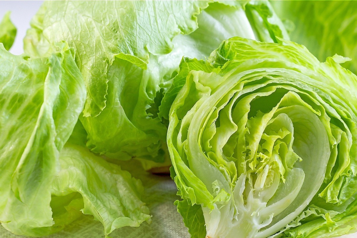 Lettuce