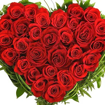Velvety Red Roses in Heart Shape – Anniversary & Love Flowers