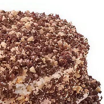 Black Sponge Cake with Nuts