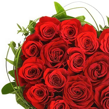 Velvety Red Roses in Heart Shape – Anniversary & Love Flowers