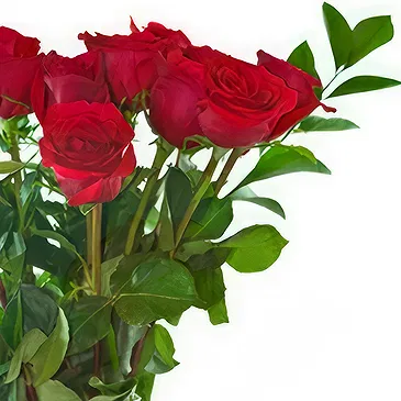 Romantic Red Roses with Teddy Bear & Chocolates