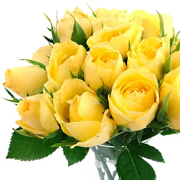Hand Tied Vibrant Yellow Roses Bunch