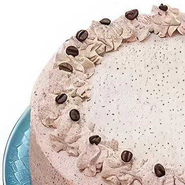 Coffee Cream Sponge Cake Delight