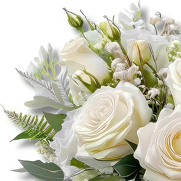 White Roses & Baby Breath Bouquet