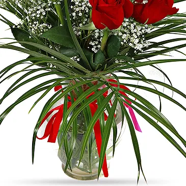 Stunning Six Red Roses Bouquet