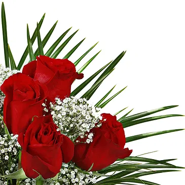 Stunning Six Red Roses Bouquet