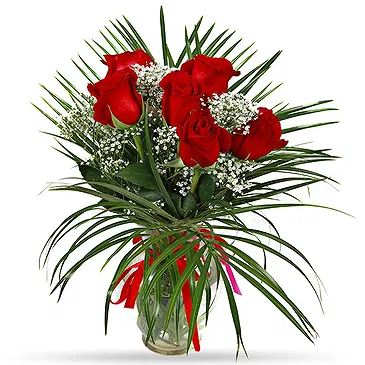 Stunning Six Red Roses Bouquet