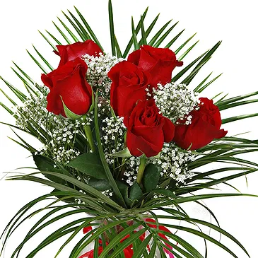 Stunning Six Red Roses Bouquet