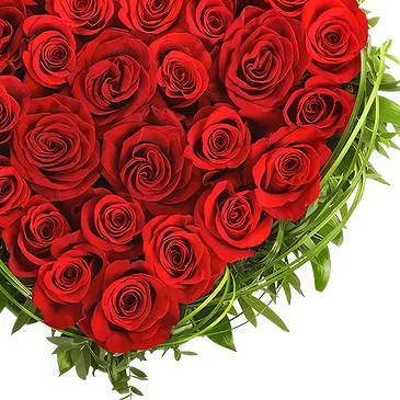 Velvety Red Roses in Heart Shape – Anniversary & Love Flowers
