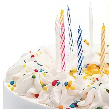 Light Sponge Cake with Whipped Cream