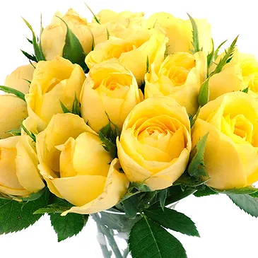Hand Tied Vibrant Yellow Roses Bunch
