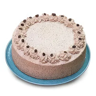 Coffee Cream Sponge Cake Delight