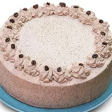Coffee Cream Sponge Cake Delight