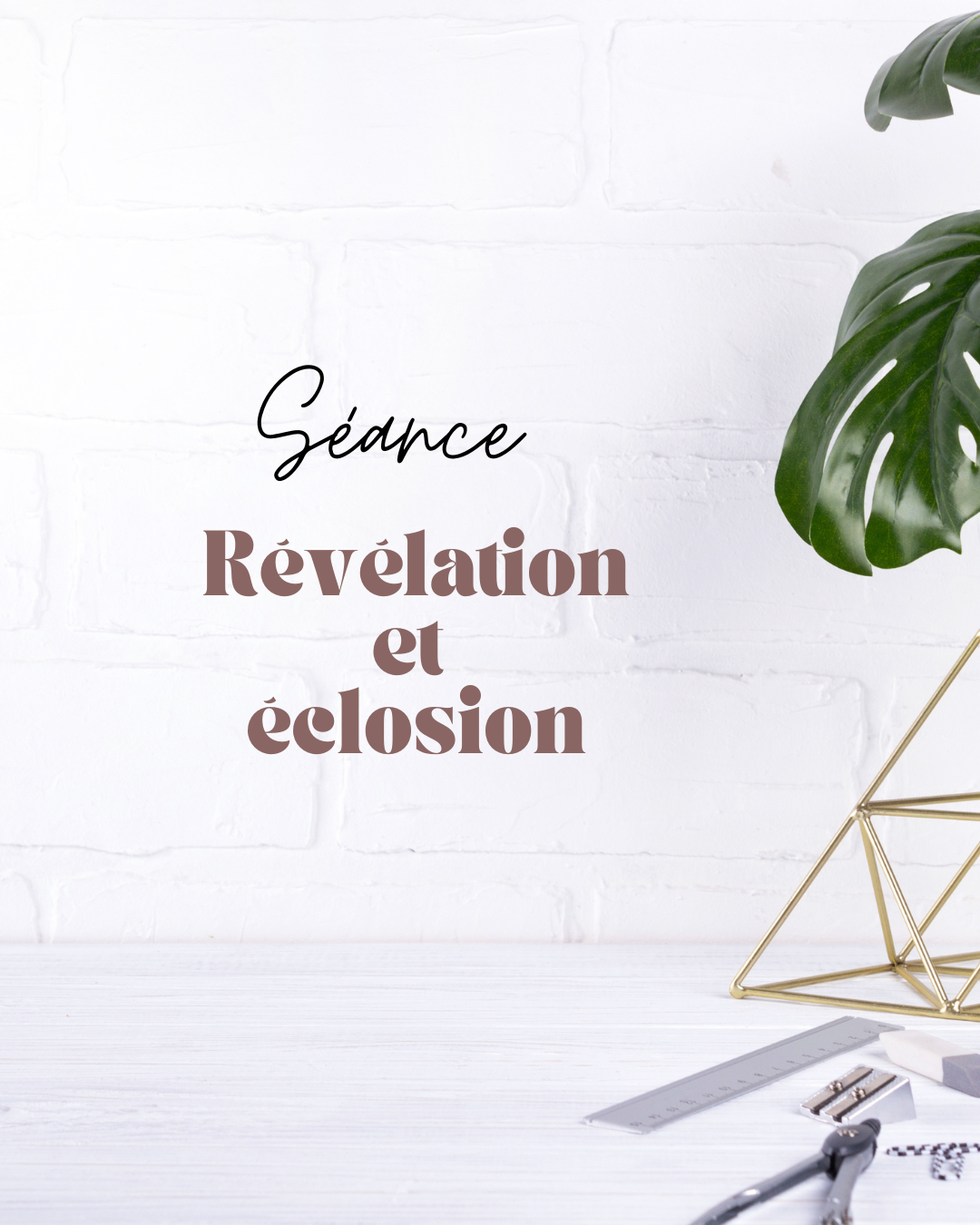 Séance Révélation et Éclosion