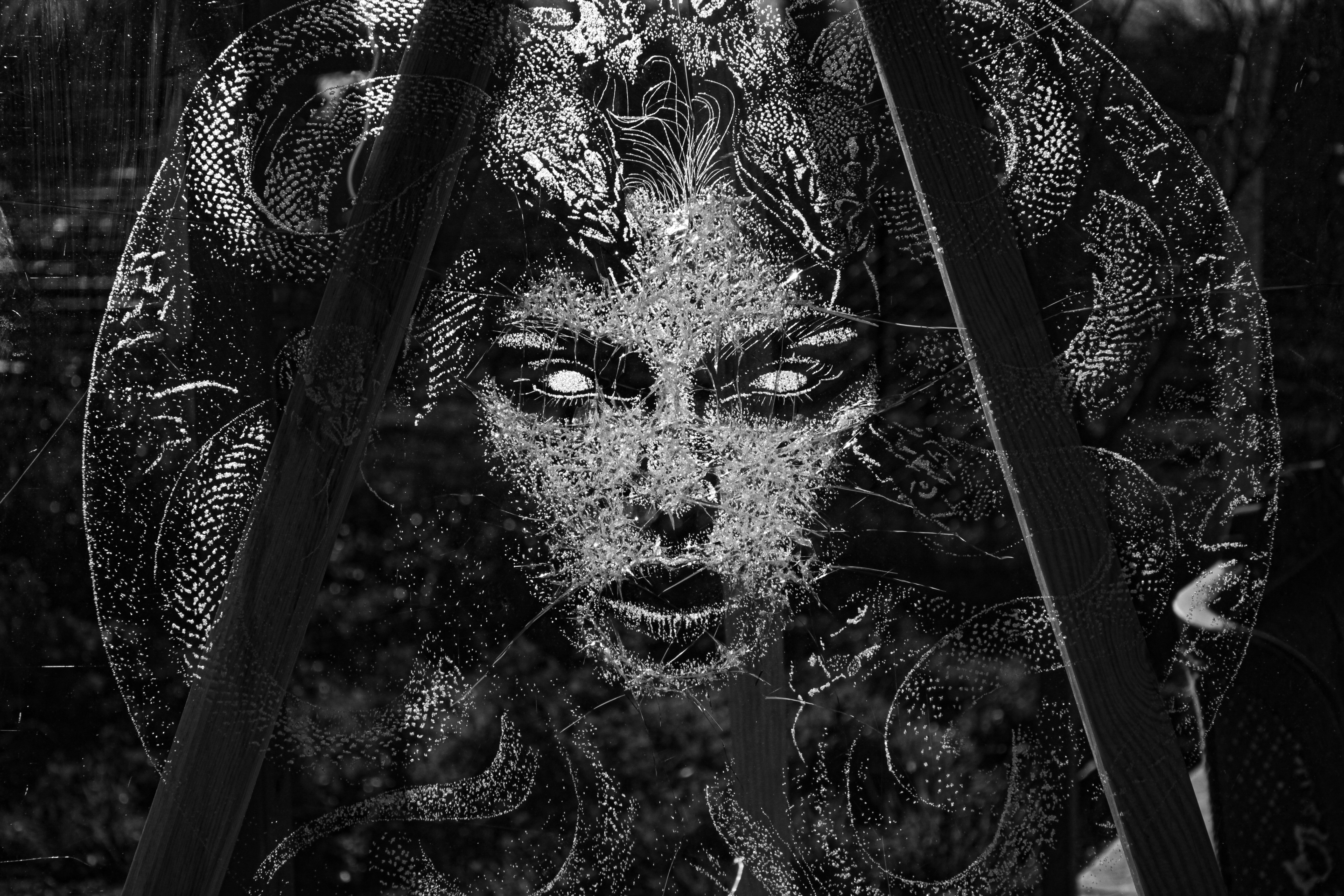Medusa Gaze