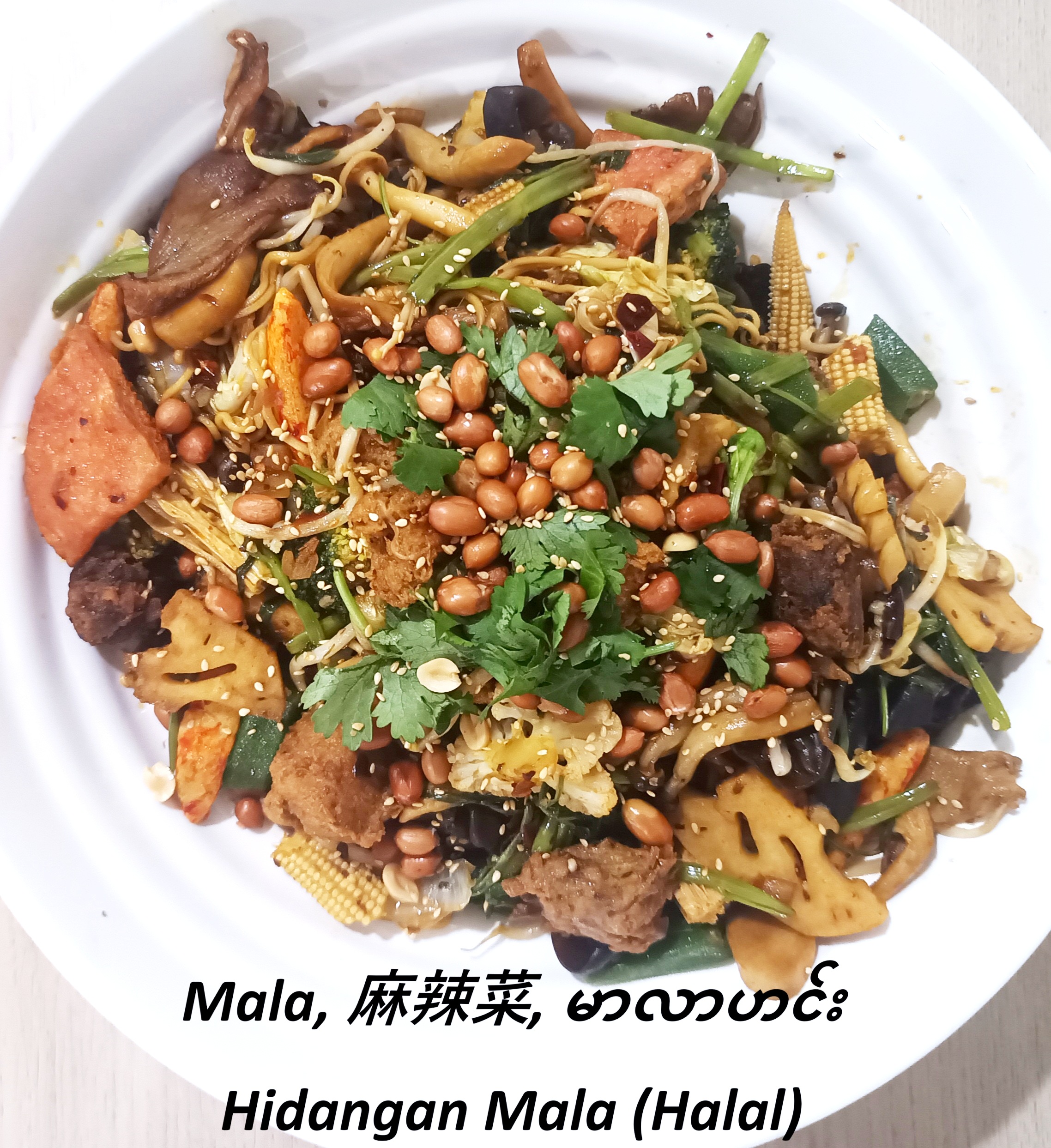 Halal Mala Kering Atau Mala hotpot Mala Xiang Guo , 麻辣香锅
