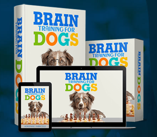 Brain Training for dogs