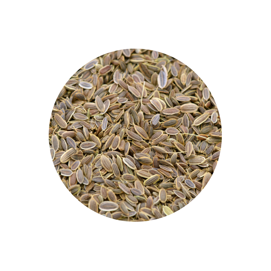 Dill Seeds