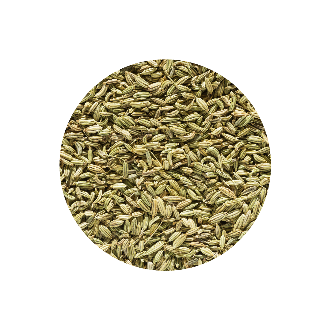 Fennel Seeds