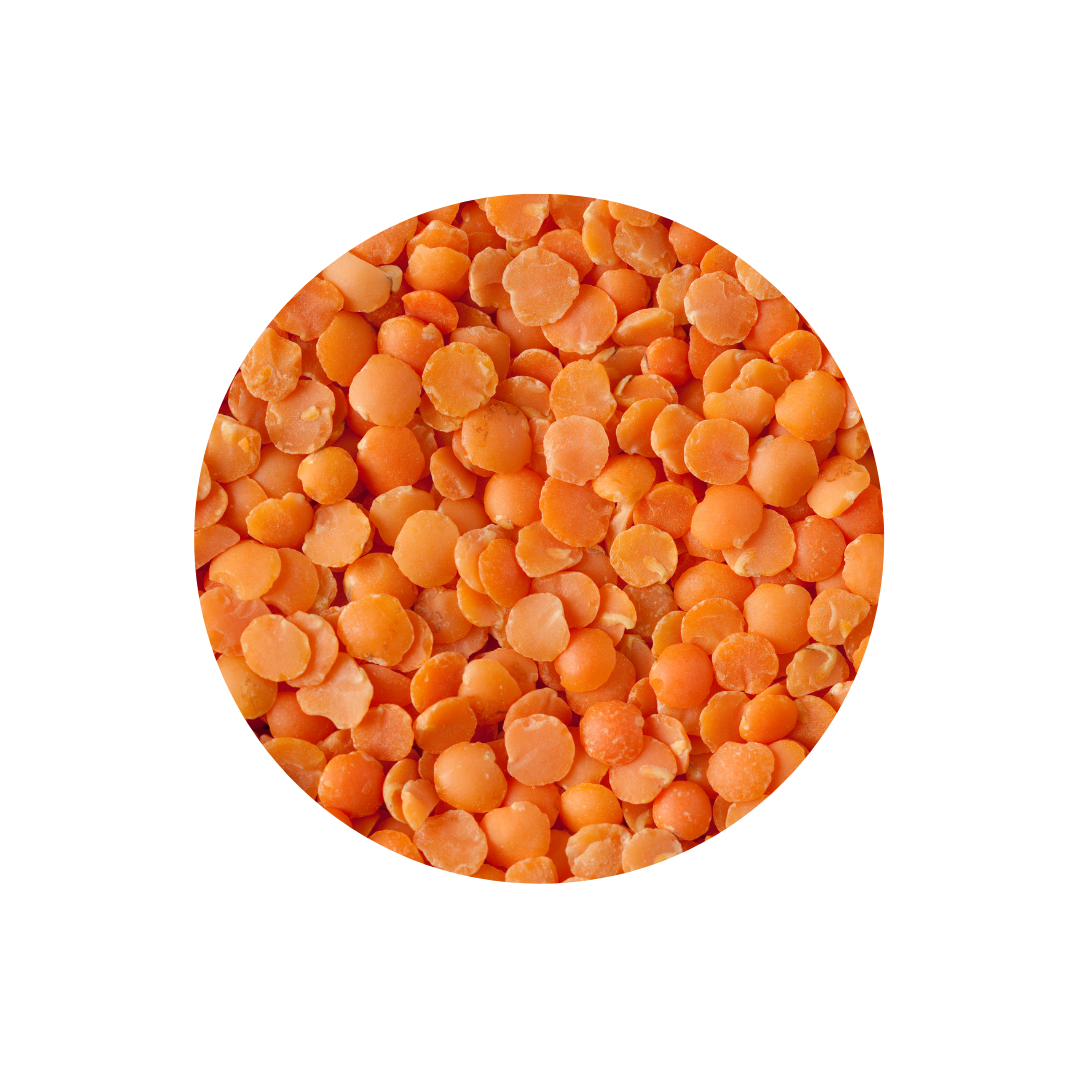 Lentils