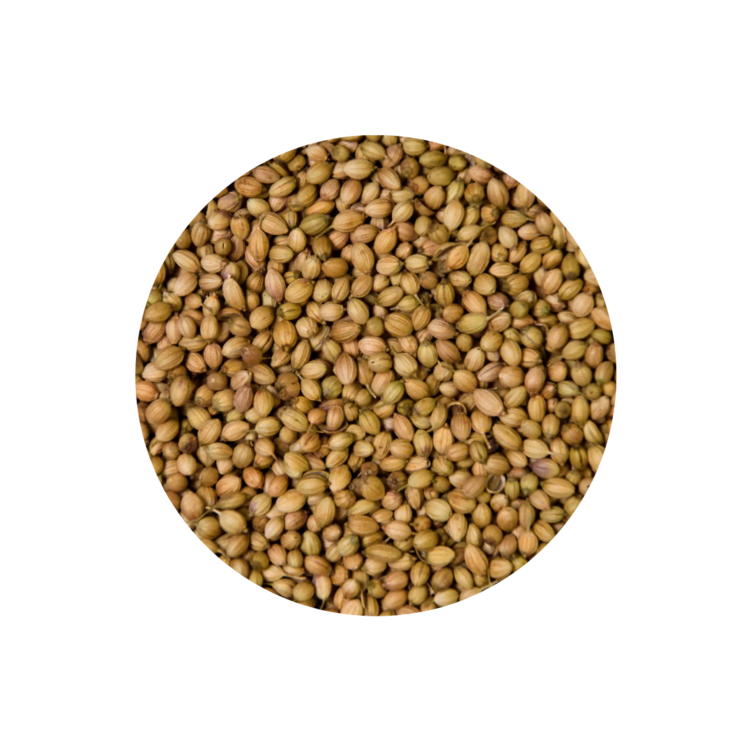 Coriander Seeds