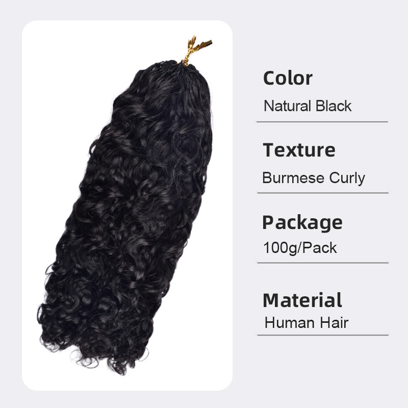 100% Natural Virgin Raw Hair Deep Curly Deep Wave Water Wave Kinky Curly Kinky Straight Body Wave Feather Tip Crochet Hair Extensions 