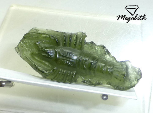 Moldavit Hummer