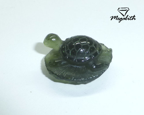 Moldavit Schildkröte