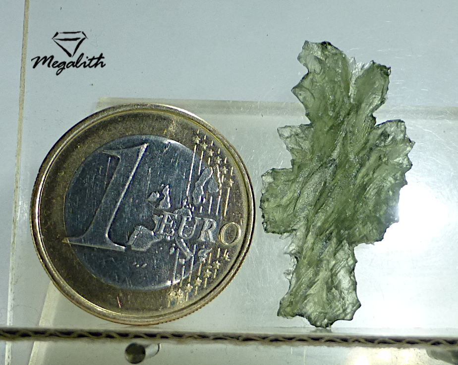 Moldavit Besednice "Ježkovna"