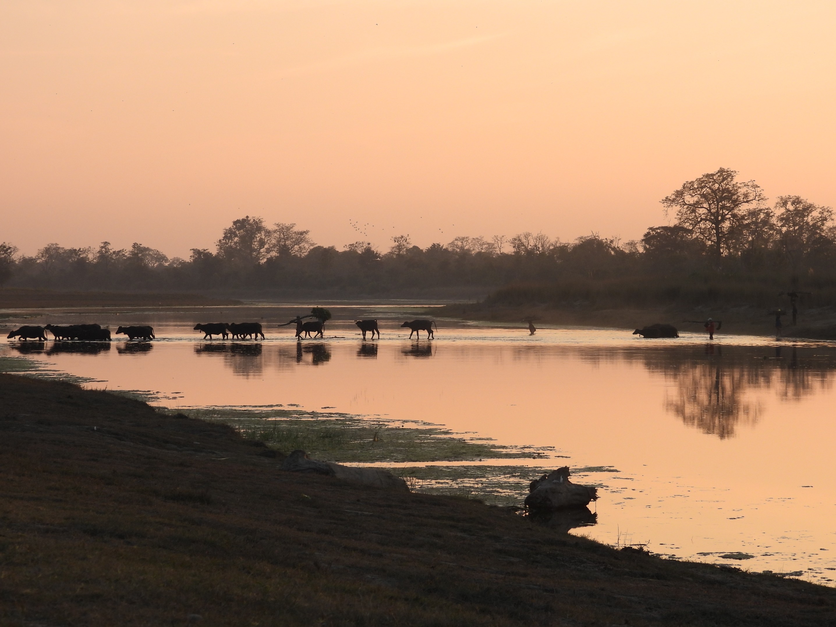 Safari en 4x4 et une nuit en camping