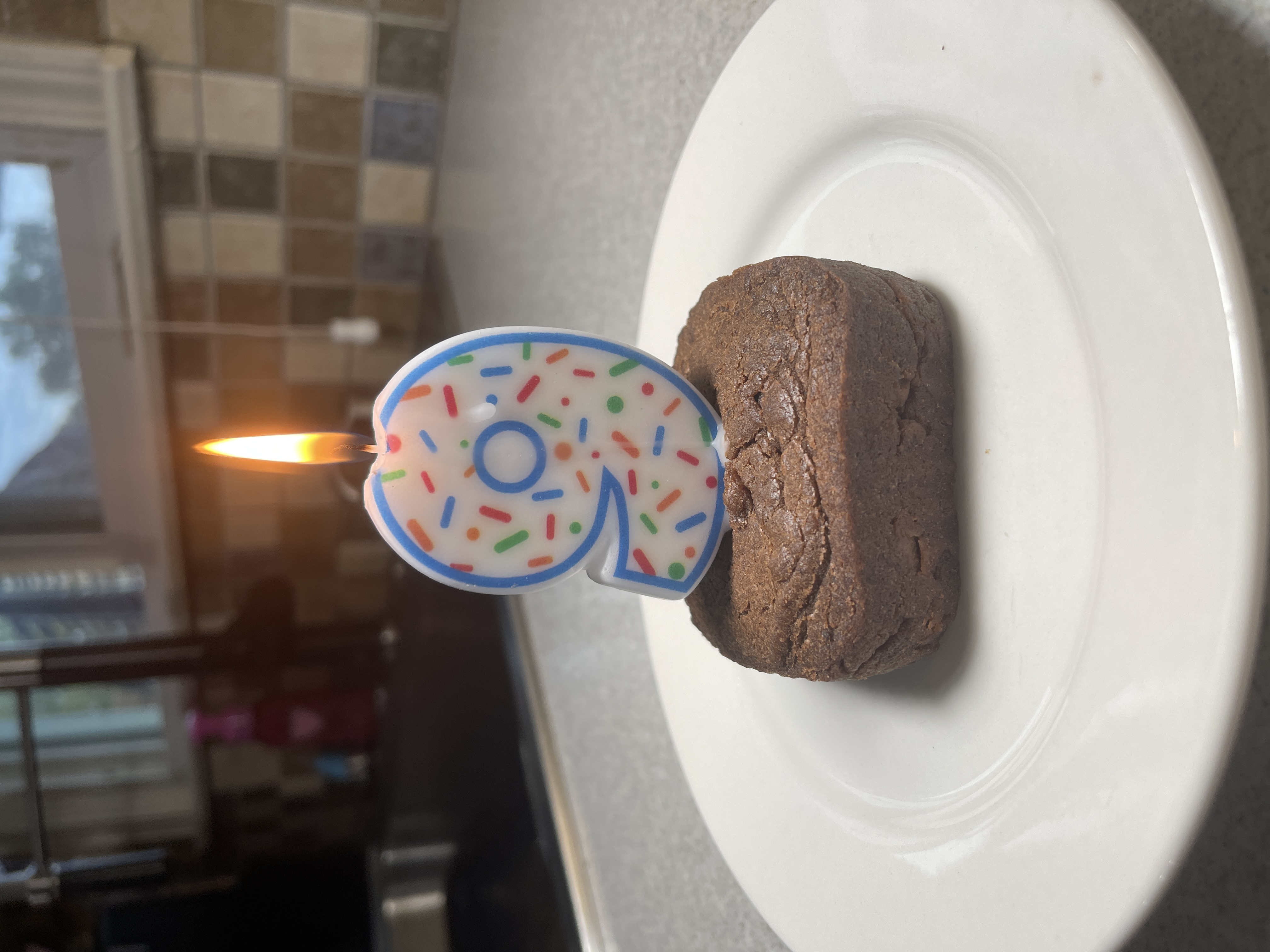 Bodie's Nummy Brownie