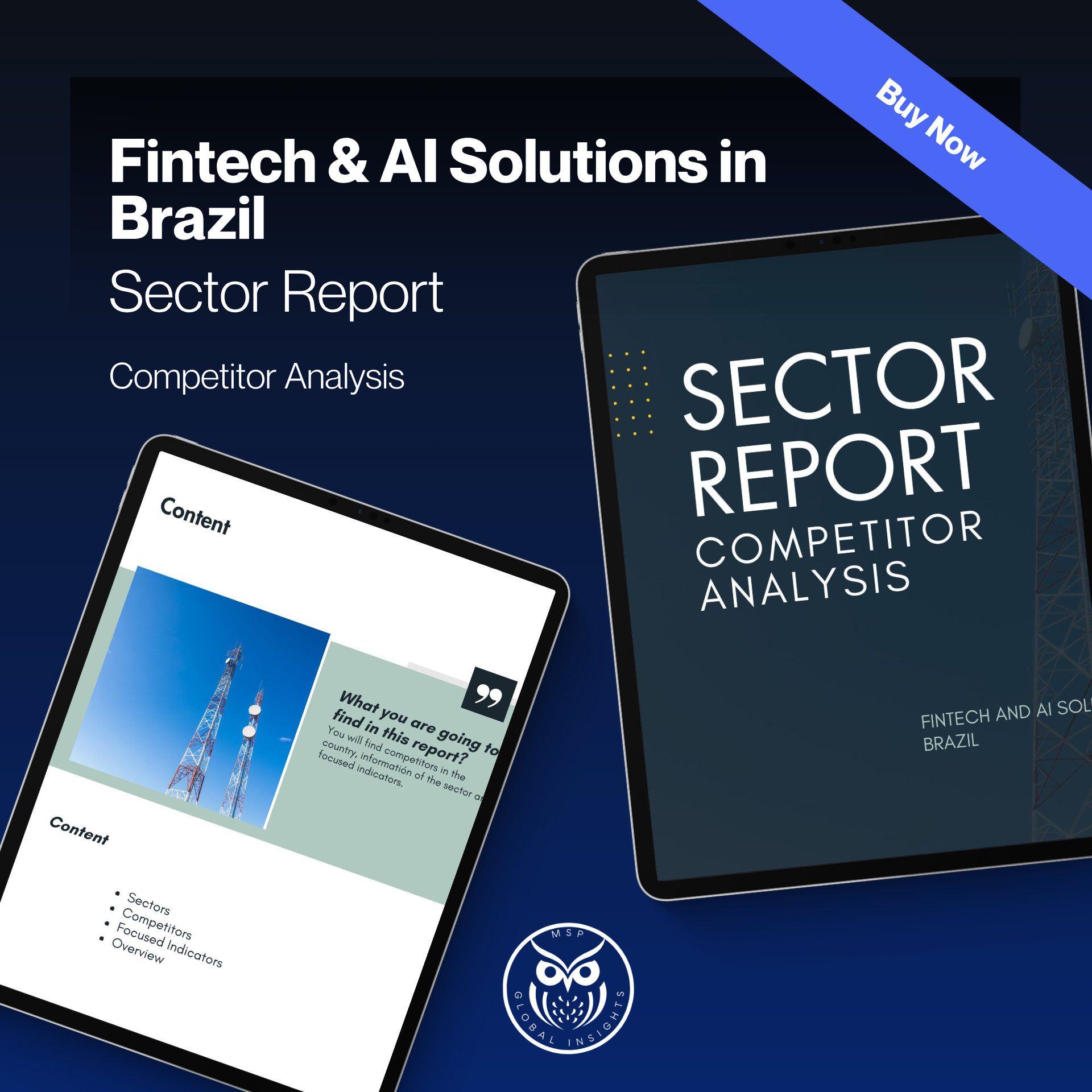 Fintech & AI Solutions in Brazil - Sector Report
