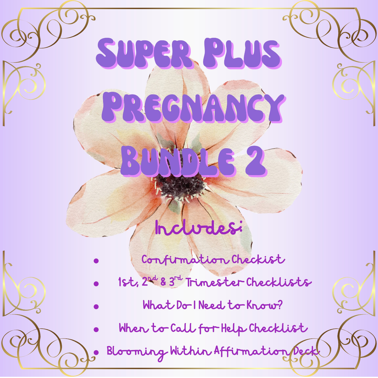 Super Plus Pregnancy Bundle 2
