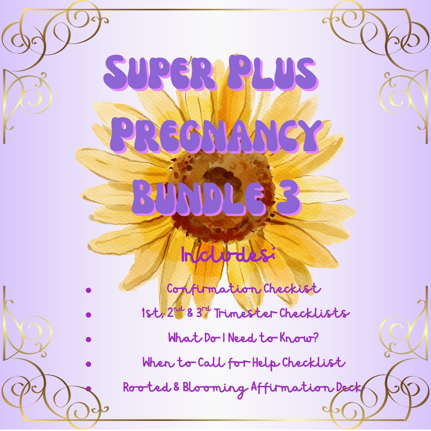 Super Plus Pregnancy Bundle 3