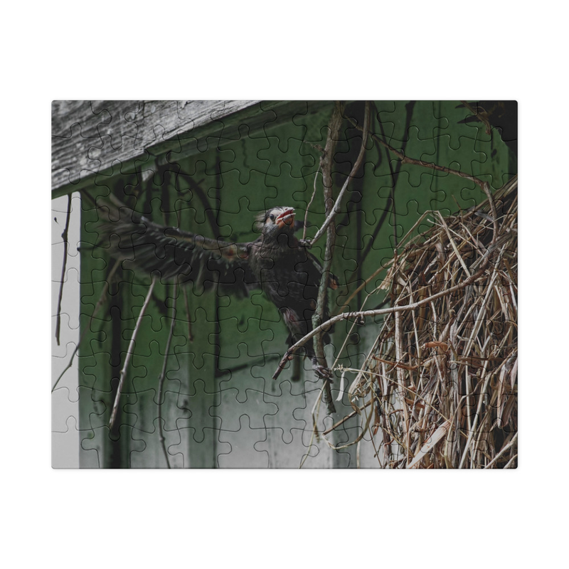 Bird Nest Puzzle