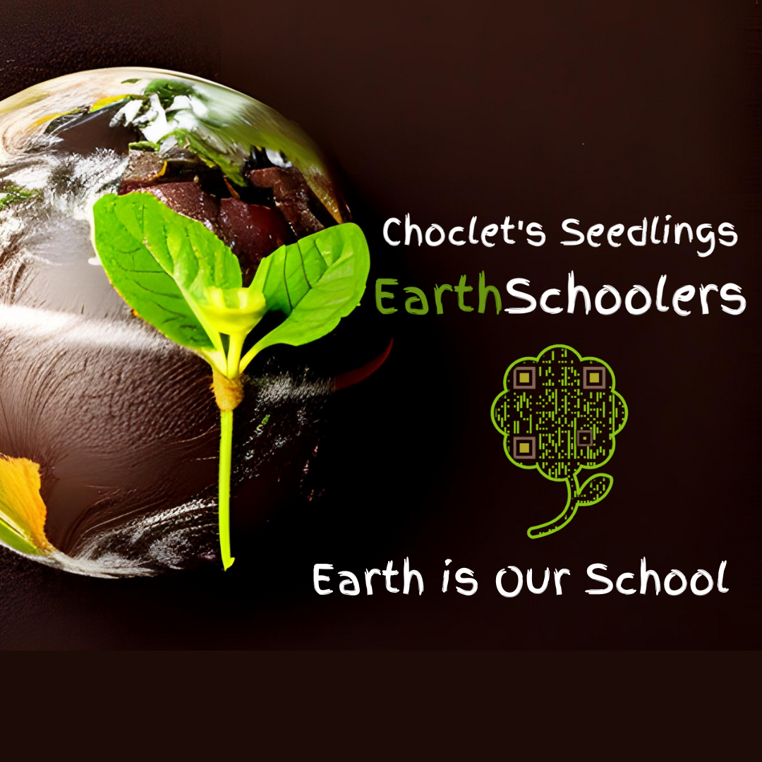 SEED ACADEMY