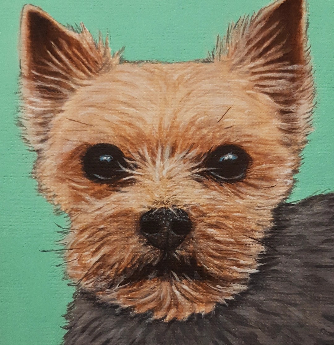 Custom Portrait