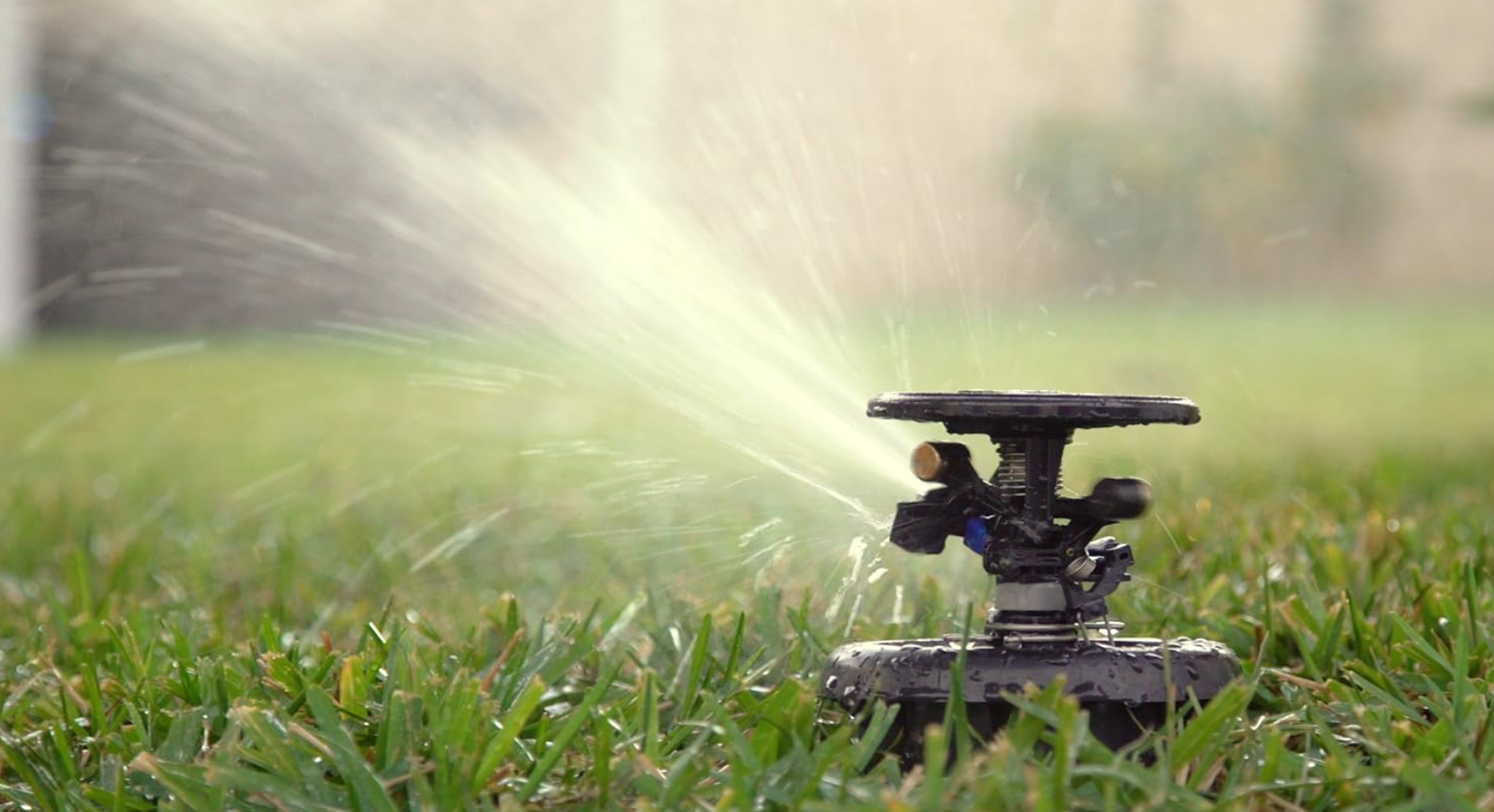 Aspersor Rainbird Serie MaxyPaw