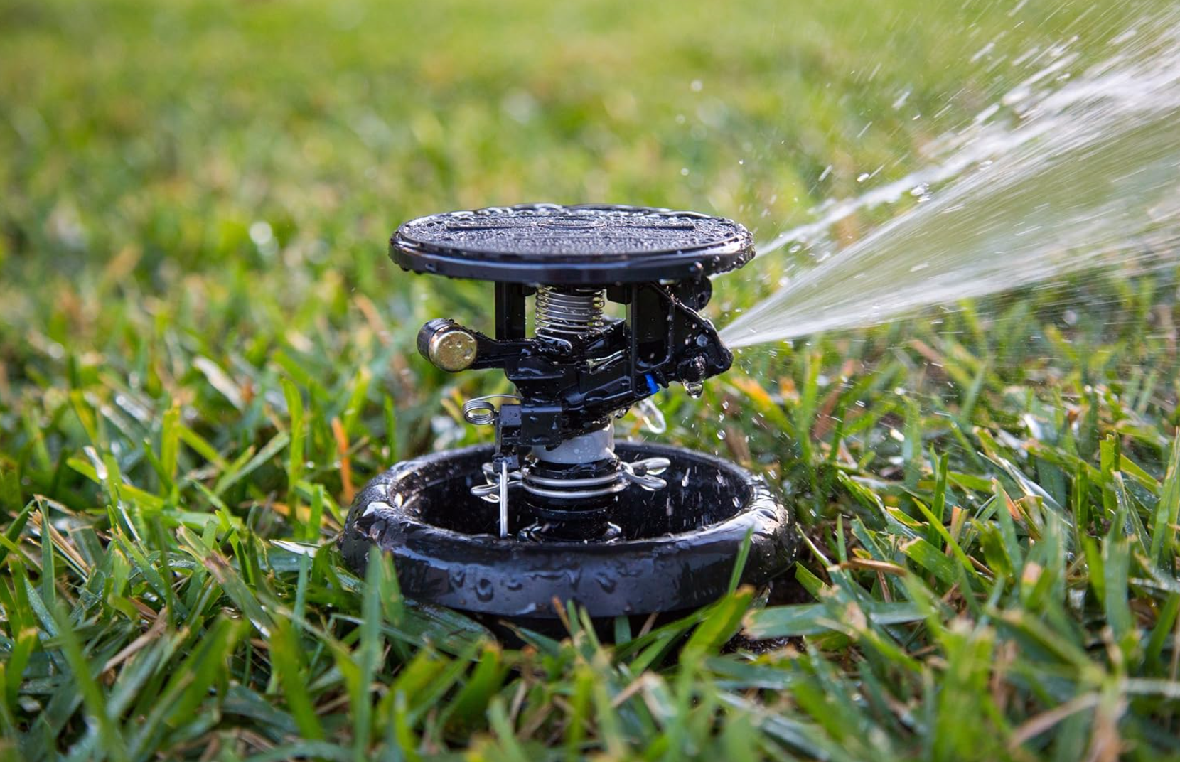 Aspersor Rainbird Serie MaxyPaw