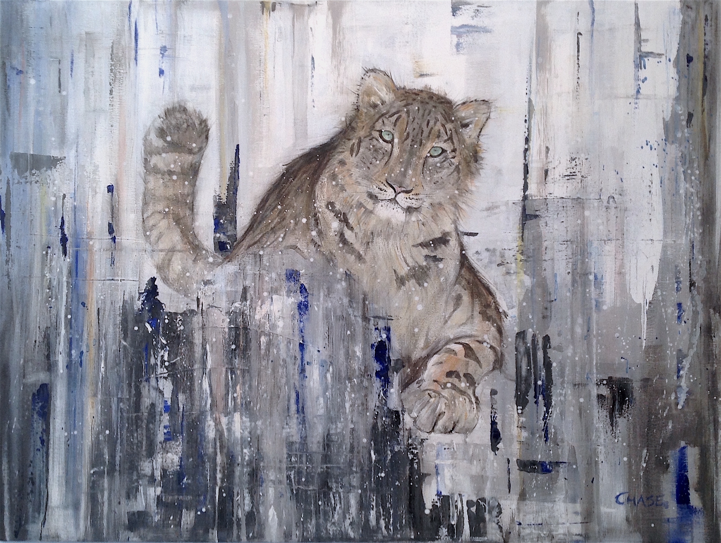 Snow Leopard