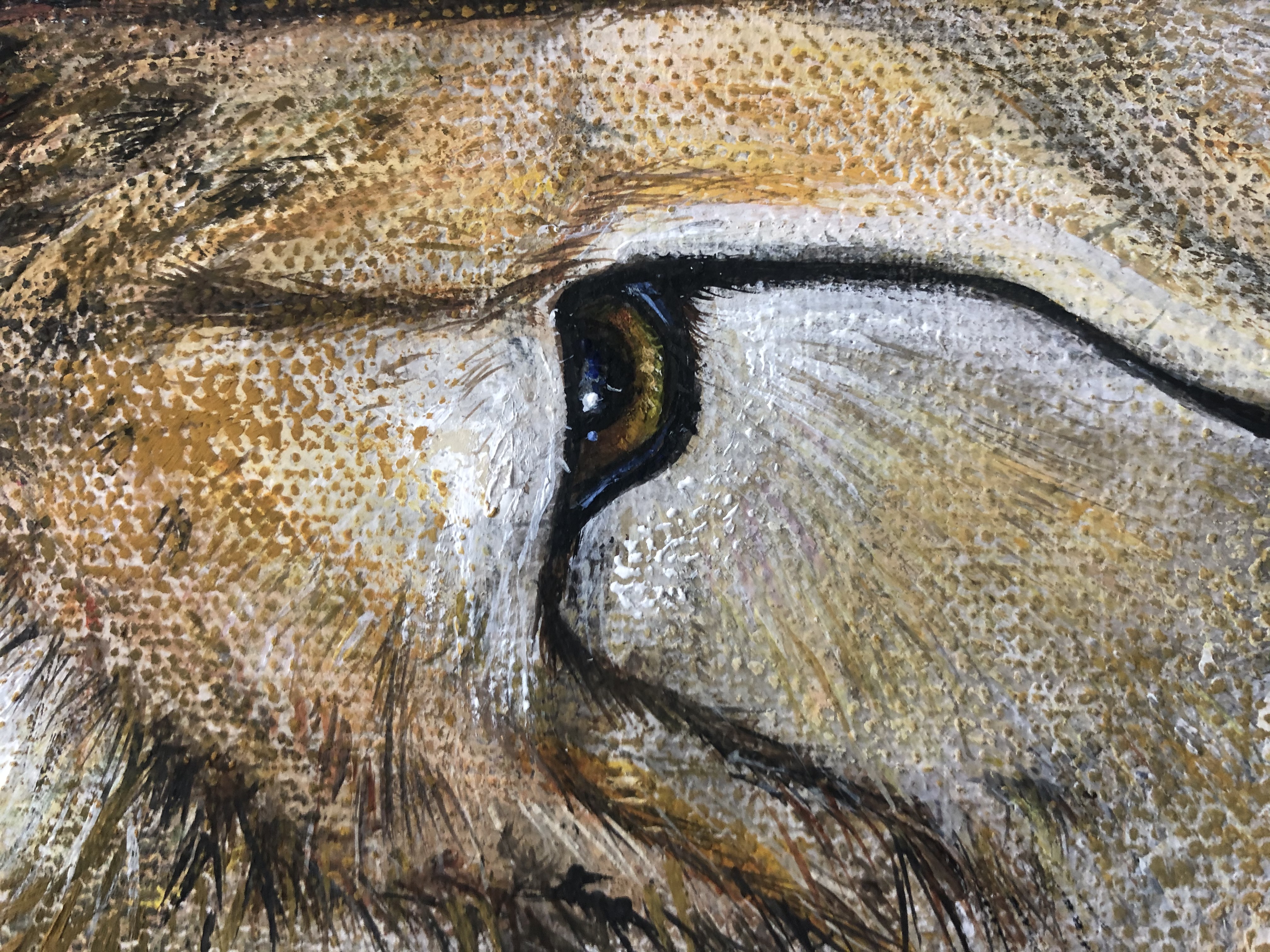 Cheetah, The Huntress