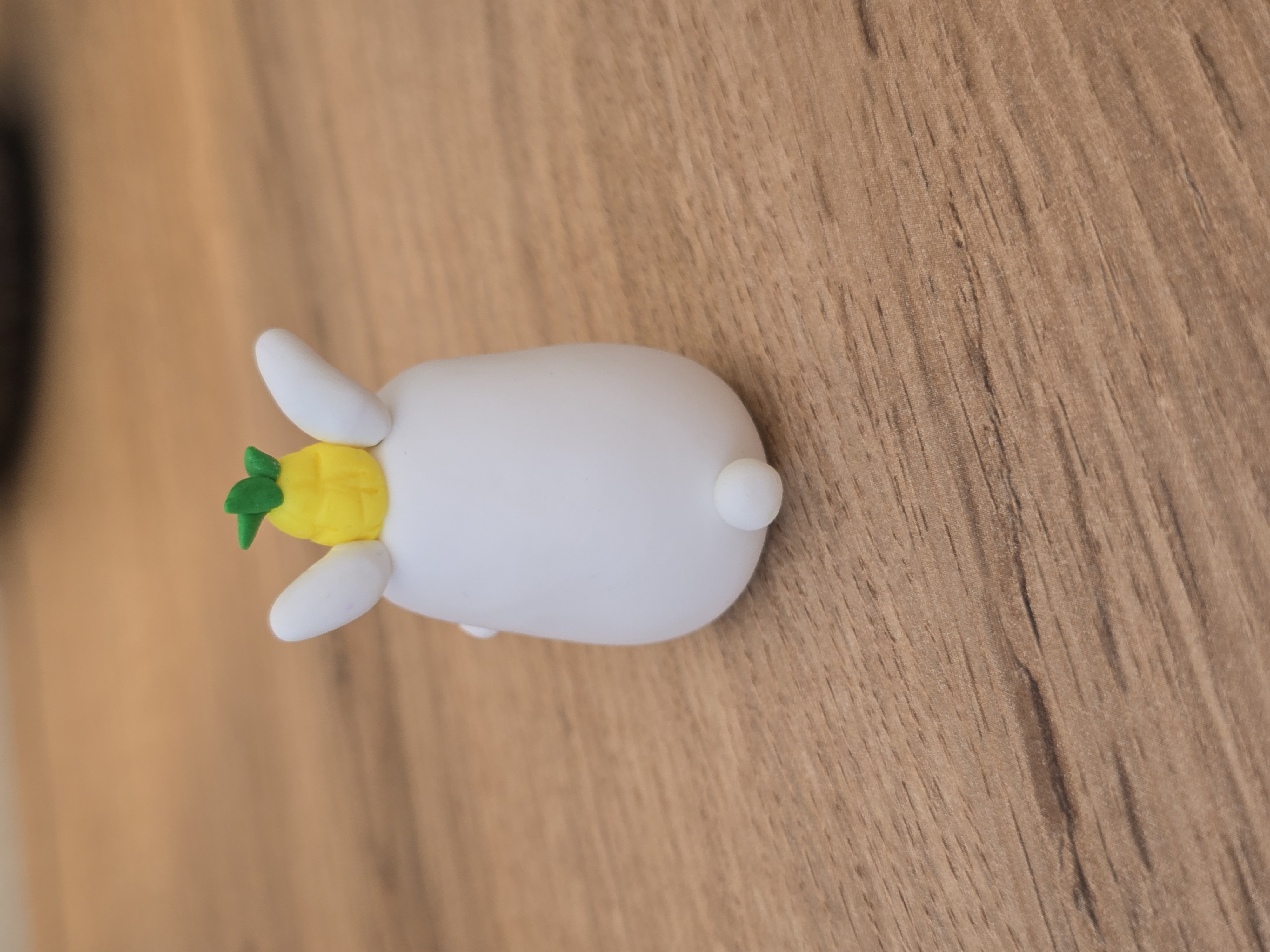 Pineapple Rabbit