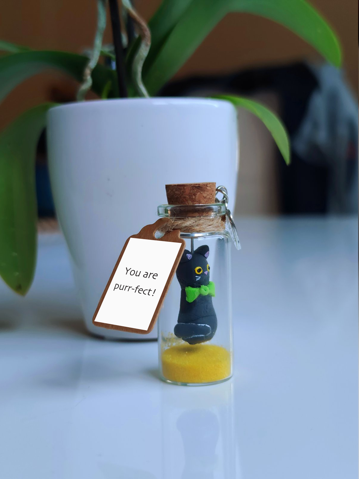 Cat in a Bottle with Custom Message